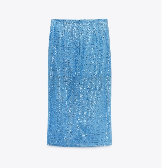 Zara sequin midi skirt - Picture 11 of 13